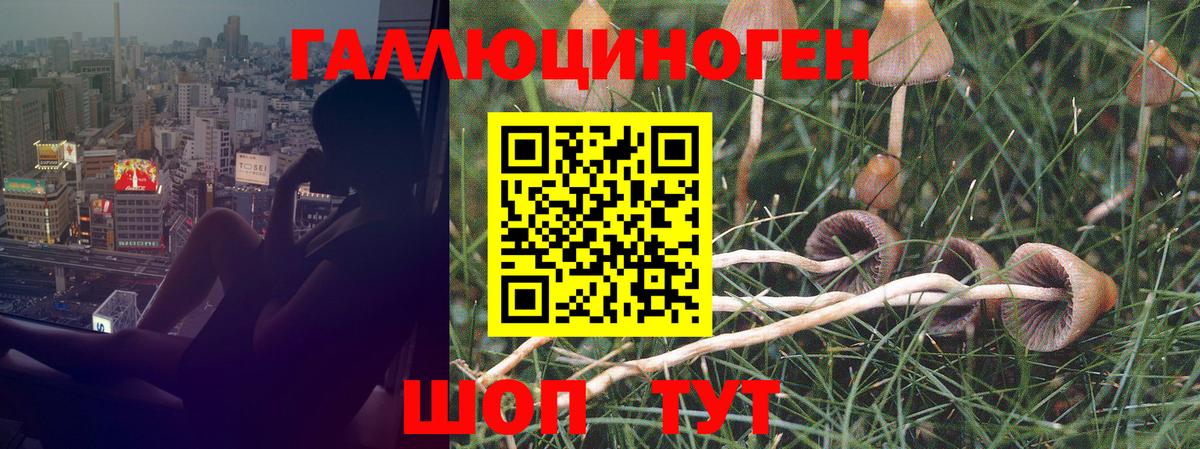 Псилоцибиновые грибы ЛСД  Псилоцибиновые грибы Cubensis  Вход с VPN  где найти   Серов 